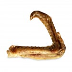 Duck Wing