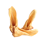 lamb ear