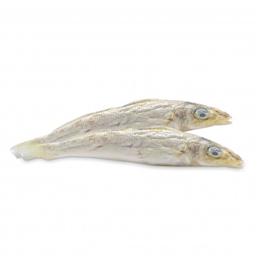 Sardines