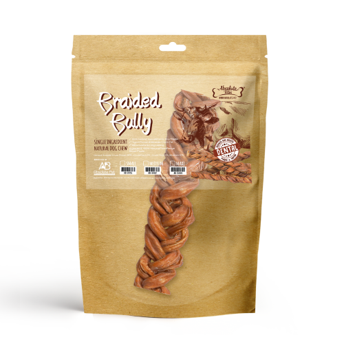 MAXI BRAIDED BULLY copy