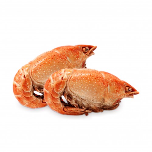 Red Lobster