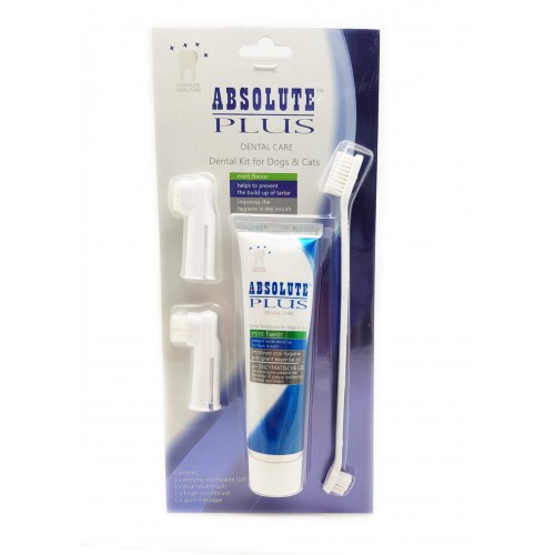 Mint Dental Set