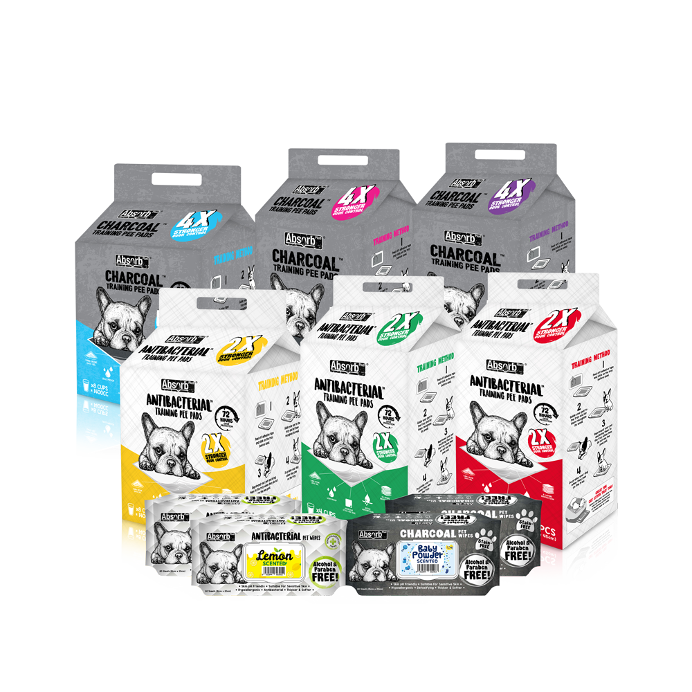 ABSORB PLUS Group Images v4
