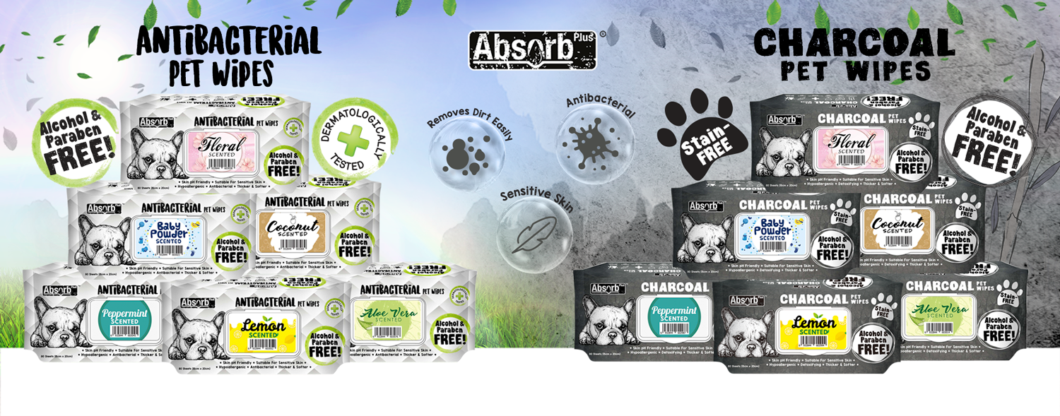 Charcoal Pet Wipes » Absolute Pets